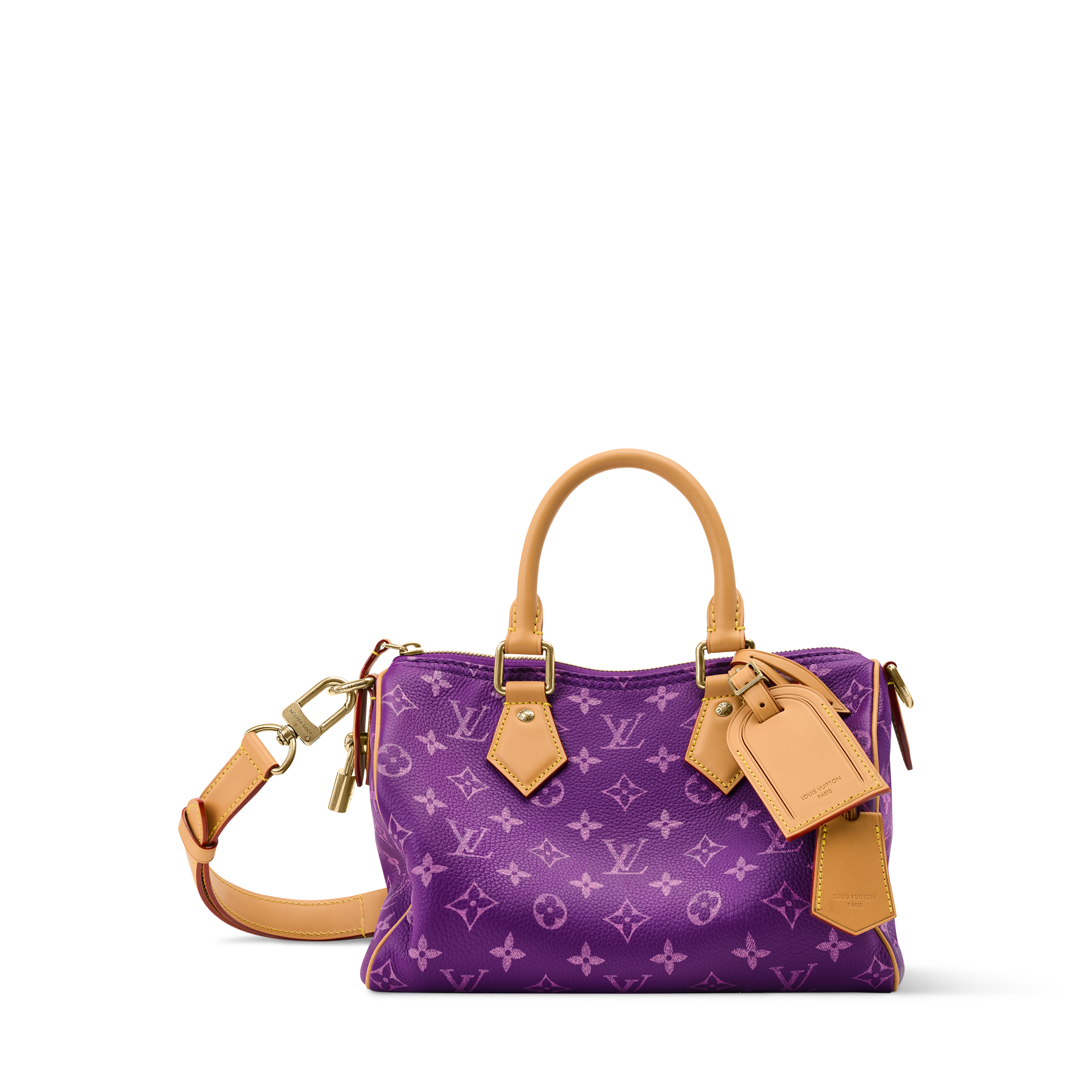 Speedy P9 Bandoulière 25 H40 - Les Extraordinaires - Leather Goods